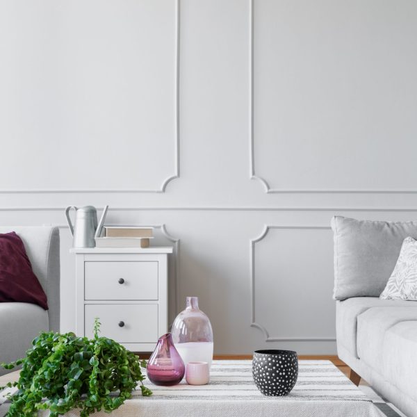 Plant on table on striped carpet next to sofa in living room interior with wall with molding. Real photo